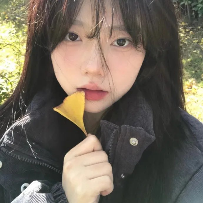 百合绽放